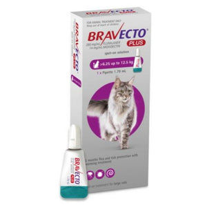 Bravecto-Plus-Large-Cat