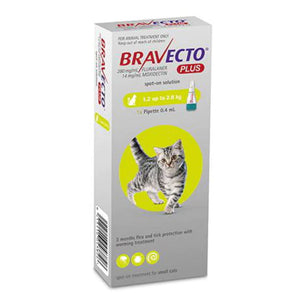 Bravecto-Plus-Small-Cat