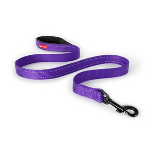 Ezydog-essential-lead-purple
