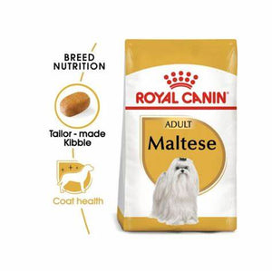 Royal-canin-maltese-adult-dog
