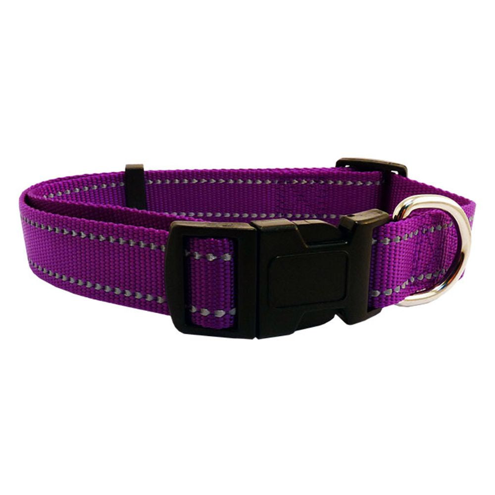 Beau-pets-nylon-dog-collar-reflective-purple'