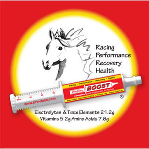 Pro-Dosa-Boost-Paste