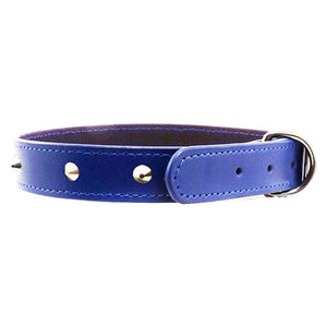 beau-pets-leather-stitched-studded-dog-collar-blue