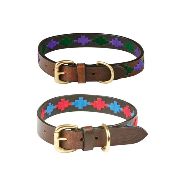 Polo Dog Collars & Leads Pet & Paddock