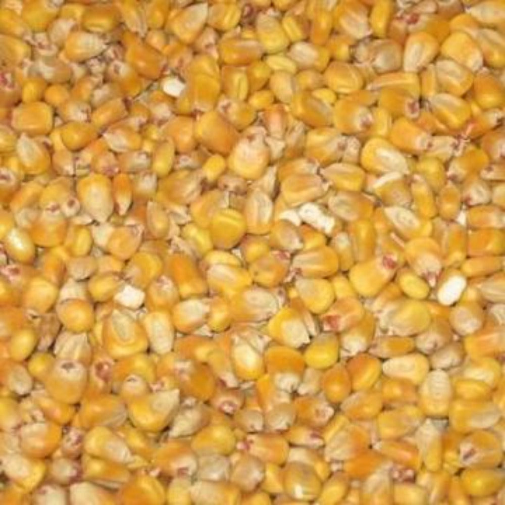 Takanini-Feeds-Whole-Maize