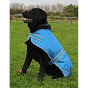 Cavallino-Westminster-Dog-Coat