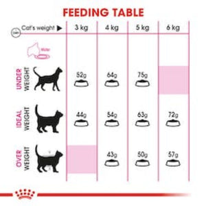 royal-canin-aroma-exigent-feeding-table