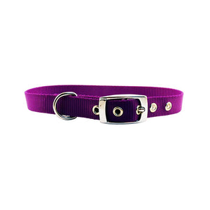 beau-pets-nylon-dog-collar-purple
