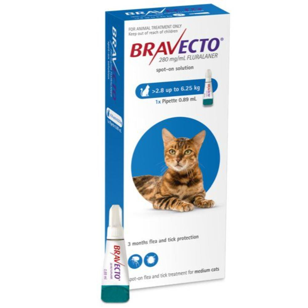 bravecto-spot-on-medium-cat-flea-and-tick-treatment