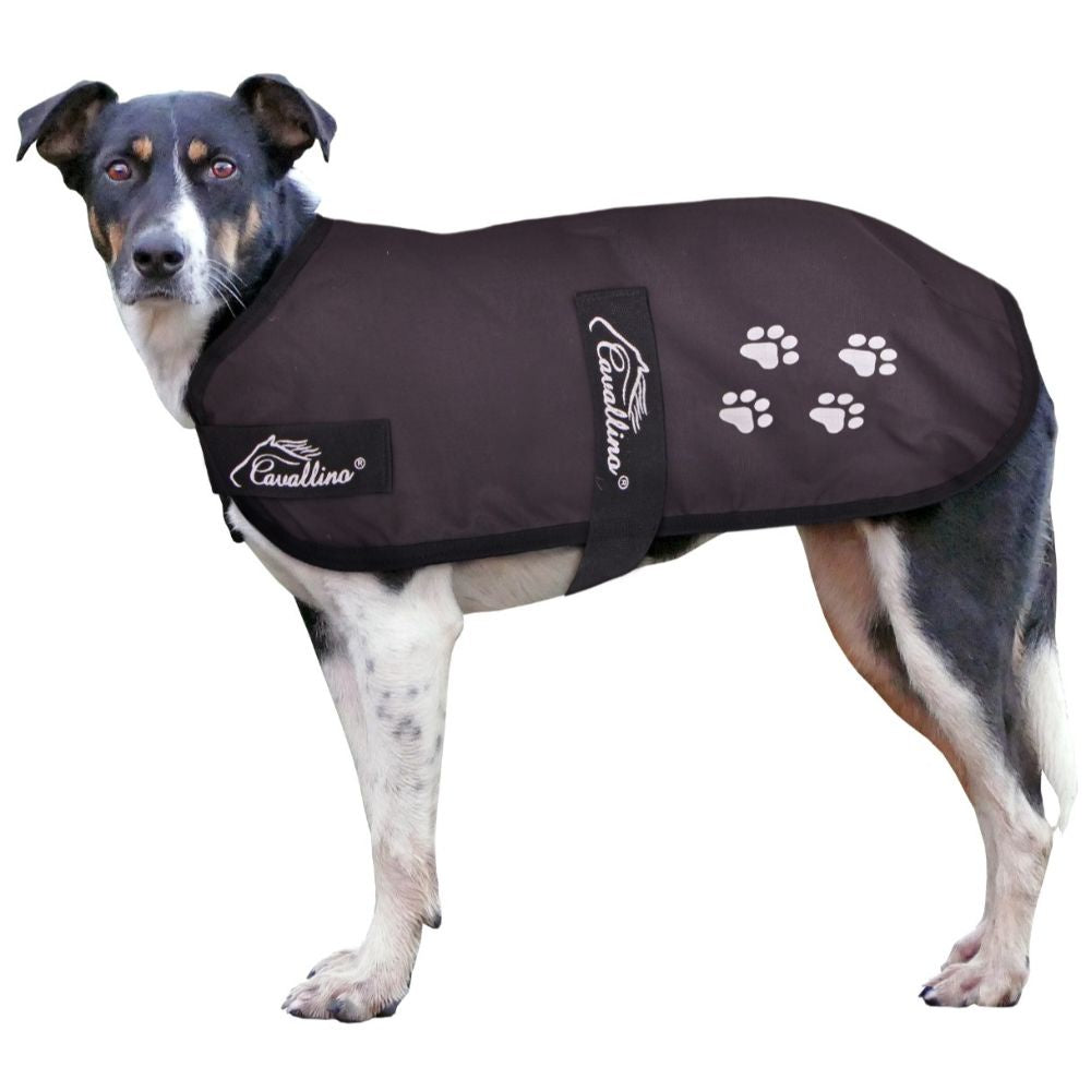 Cavallino-dog-paw-print-coat
