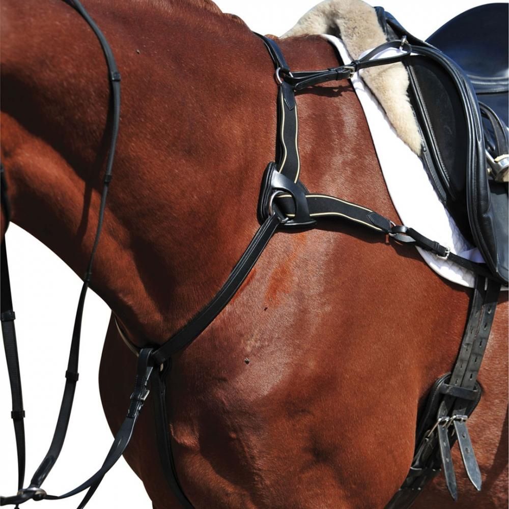 Collegiate 5 Point Breastplate - Full size only