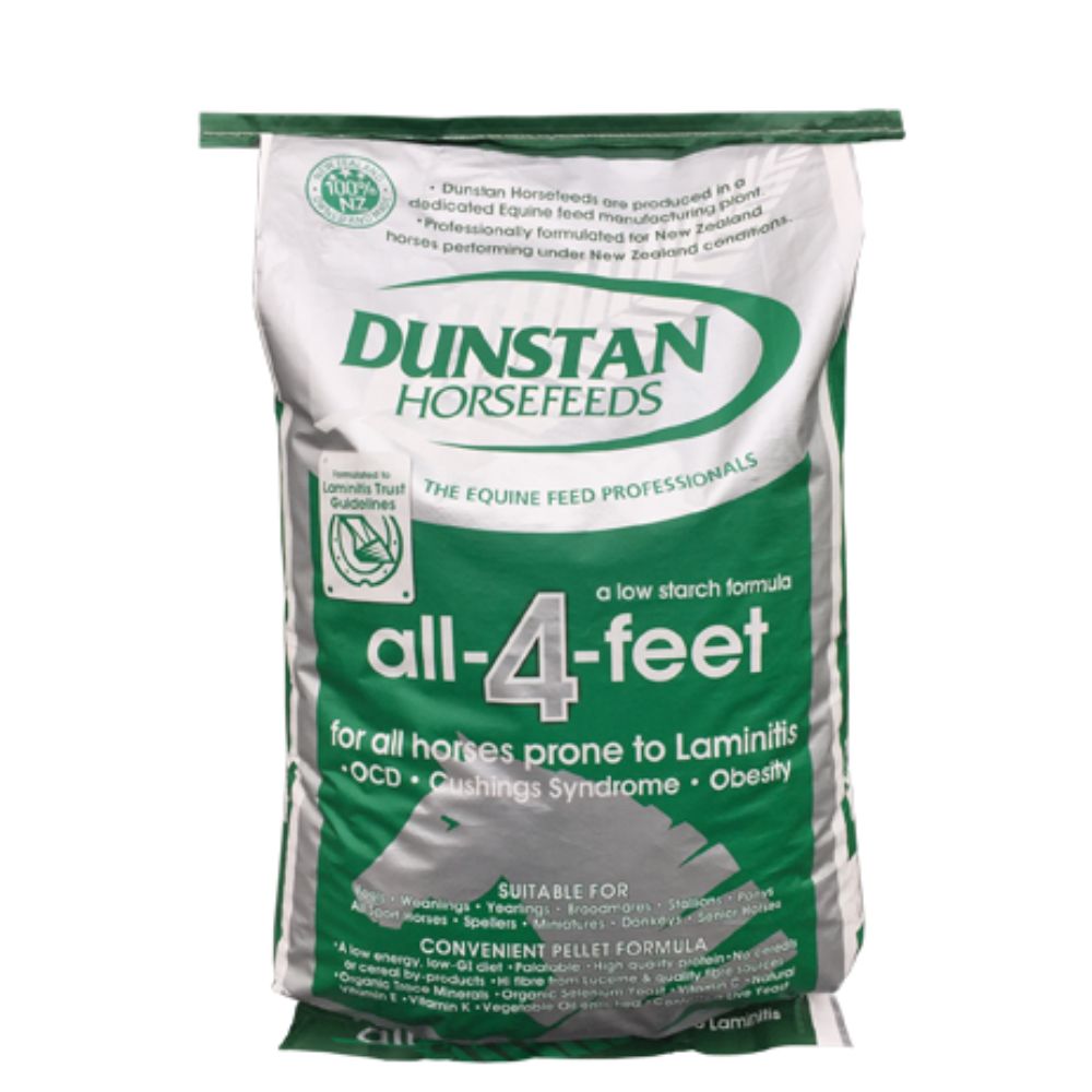 Dunstan-all-4-feet