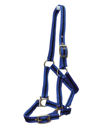 Eventor Web Halter