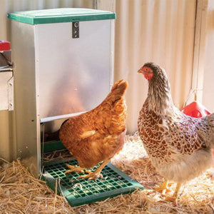 poultry-feeder-feed-o-matic