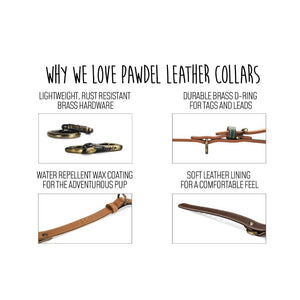 why-we-love-pawdel-leather-collars