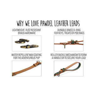 pawdel-leads-why-we-love-them
