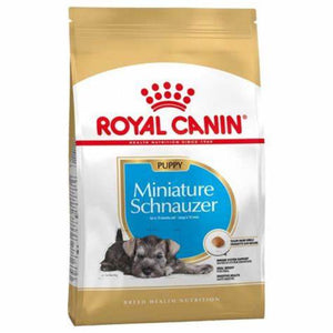 royal-canin-miniature-schnauzer-puppy 