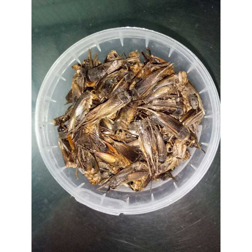 Dried-Crickets-100g